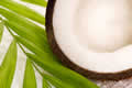 coconut soap ingredients